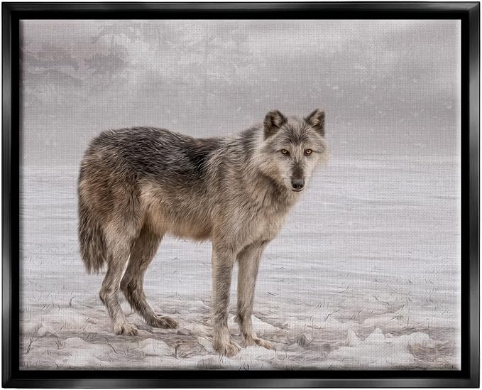 Stupell Industries Lone Coyote Wolf Snowy Field Landscape Intricate Details Floating Framed Wall Art, Design By Kelley Parker