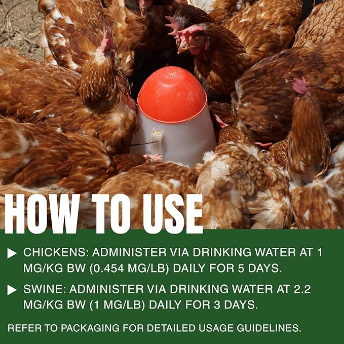 Chicken Dewormer for Poultry & More, Fenbendazole Broad Spectrum All-Worm Formula – Suitable for Tapeworms, Roundworms & Hookworms – Safe for Laying Hens, 50 mL