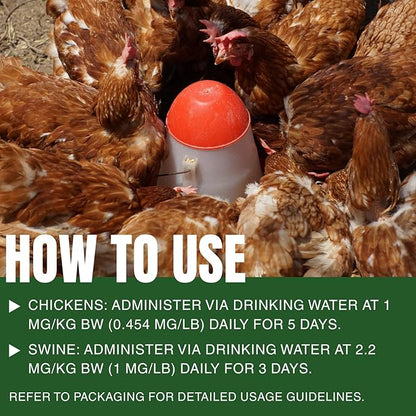 Chicken Dewormer for Poultry & More, Fenbendazole Broad Spectrum All-Worm Formula – Suitable for Tapeworms, Roundworms & Hookworms – Safe for Laying Hens, 50 mL