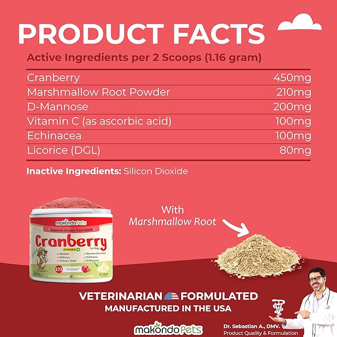 Cranberry Supplement for Dogs – Cranberry Powder with D-Mannose, Marshmallow Root & Vitamin C, Bladder & Kidney Support for Urinary Tract for Dogs, Helps Maintain Normal Urine pH – 173 Scoops