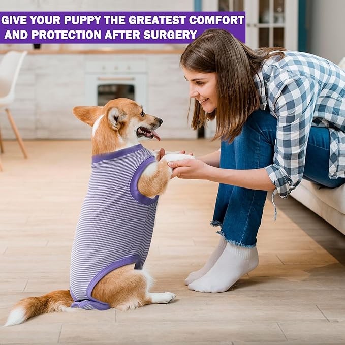 Dog Surgical Recovery Onesie - Cone Alternative, Spay/Neuter Recovery Suit for Male/Female Dogs, Purple, X-Large