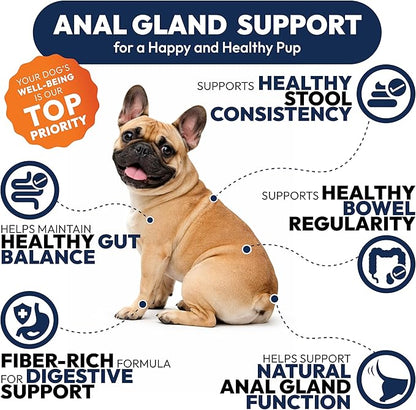 Anal Gland Support Chews for Dogs - 170 Ct - Scoot Treatment - Dog Anal Gland Supplement - Pumpkin, Psyllium Husk, Fiber - Supports Gut Health & Stool Quality - Digestive Enzymes - Made in USA