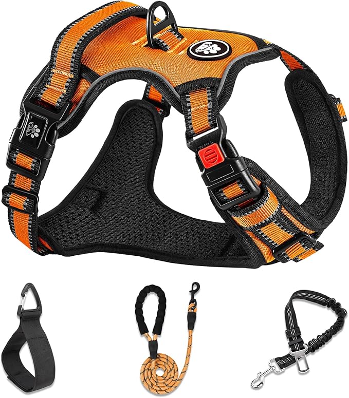 NESTROAD No Pull Dog Harness,Adjustable Oxford Dog Vest Harness with Leash,Reflective No-Choke Pet Harness with Easy Control Soft Handle for Large Dogs(Large,Orange)