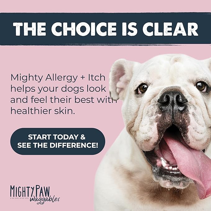 Mighty Paw Dog Allergy Chews — Anti-Itch & Immune Support, 120ct | Omega 3, Quercetin & Turmeric | Vet Formulated | Made in USA | Skin & Coat Supplement for Dogs