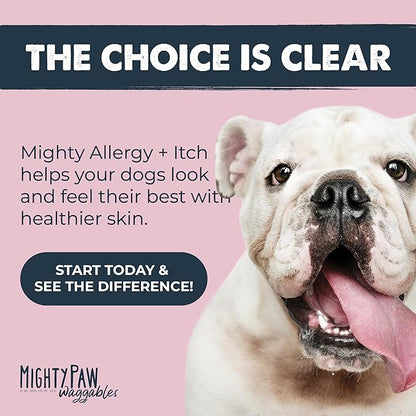 Mighty Paw Dog Allergy Chews — Anti-Itch & Immune Support, 120ct | Omega 3, Quercetin & Turmeric | Vet Formulated | Made in USA | Skin & Coat Supplement for Dogs