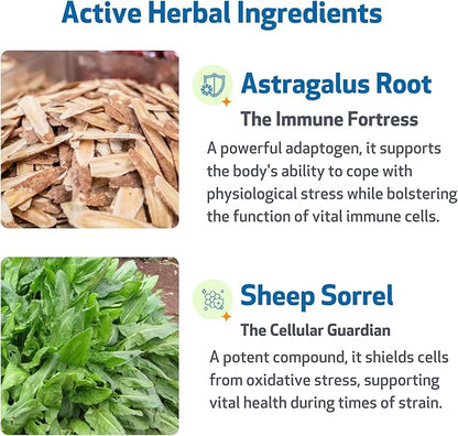 Pet Wellbeing Life Gold for Dogs - Supports Detoxification & Immune System Health with Astragalus & Sheep Sorrel - NASC Certified & Vet-Formulated - 4 oz Liquid Formula