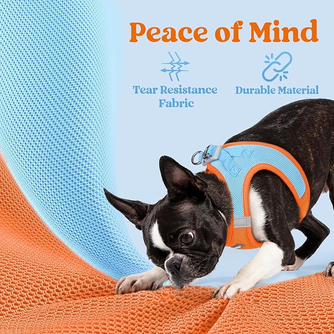 rabbitgoo Small Dog Harness, Step-in Soft Mesh Puppy Vest with Safety Buckle, Breathable Reflective Pet Harness for Small Sized Dogs, Blue & Orange M