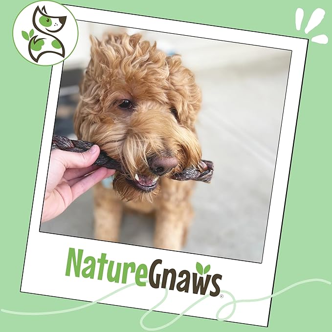 Nature Gnaws Braided Bully Twists for Dogs 5-6" (10 Count) - Long Lasting for Small and Medium Dogs - Natural Beef Dog Chew Bones