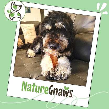 Nature Gnaws Beef Trachea Chews for Dogs 6" (6 Count) - Long Lasting Natural Crunchy Dog Chew Bones - Rawhide Free