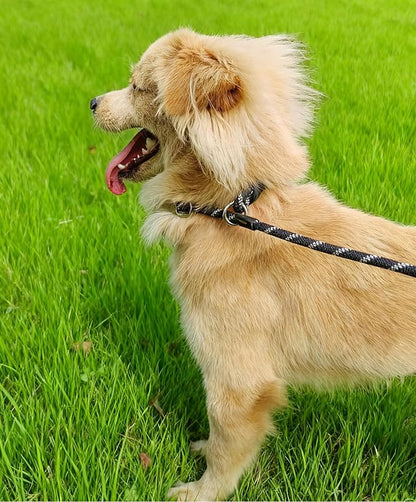 50FT Long Slip Lead Leash, 12ft 20ft 30ft Reflective Rope Training Lead Anti-Choking for Medium Dogs Small Puppy Pets Outdoor- Backyard- Playing- Recall- Traning (Blue)
