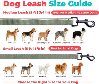 Best Pet Supplies Voyager Reflective Dog Leash or Collar with Neoprene Handle, for Small, Medium, and Large Breed Puppies, Cute and Heavy Duty for Walking, Running and Training - Moss Green (Leash), S