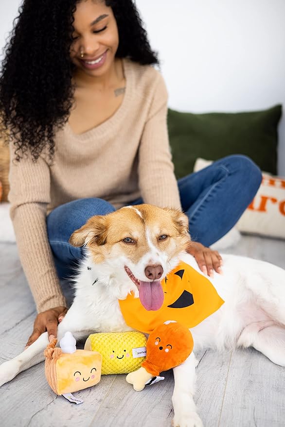 Pearhead Pet Thanksgiving Dinner Dog Toys - Slice of Pumpkin Pie, Turkey Leg, and Corn Cob Plush with Squeakers, Set of 3