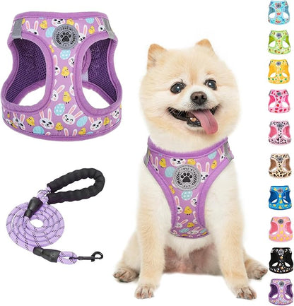 BEAUTYZOO Easter Dog Harness and Leash Set,Step in No Choke No Pull Soft Mesh Dog Harnesses Reflective for XSmall/Small Puppy Dogs Cats, Cute Coloful Egg Dog Vest for Outdoor Walking,Purple S