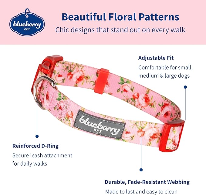 Blueberry Pet Dog Collar - Floral Rose Baby Pink Puppy Collar, Adjustable Dog Collars for Small Dogs, Small Dog Collar Neck 12"-16", Pink Dog Collar with Eco-Friendly Buckles