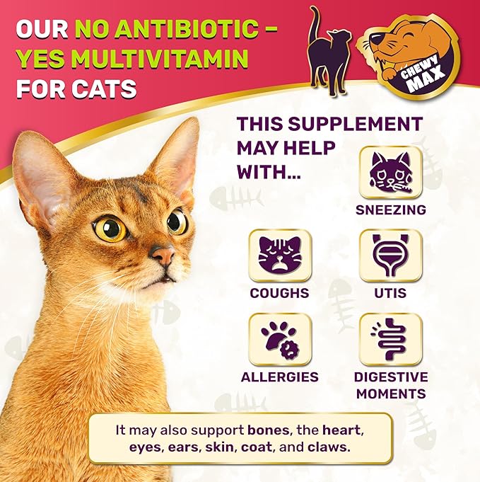Cat Multivitamin Complex with Turkey Flavor – Natural Cat Antibiotic Liquid Alternative to Help with Allergies, UTIs & Cough – Herbal No Antibiotic Yes Multivitamin for All Breeds – 2 Oz