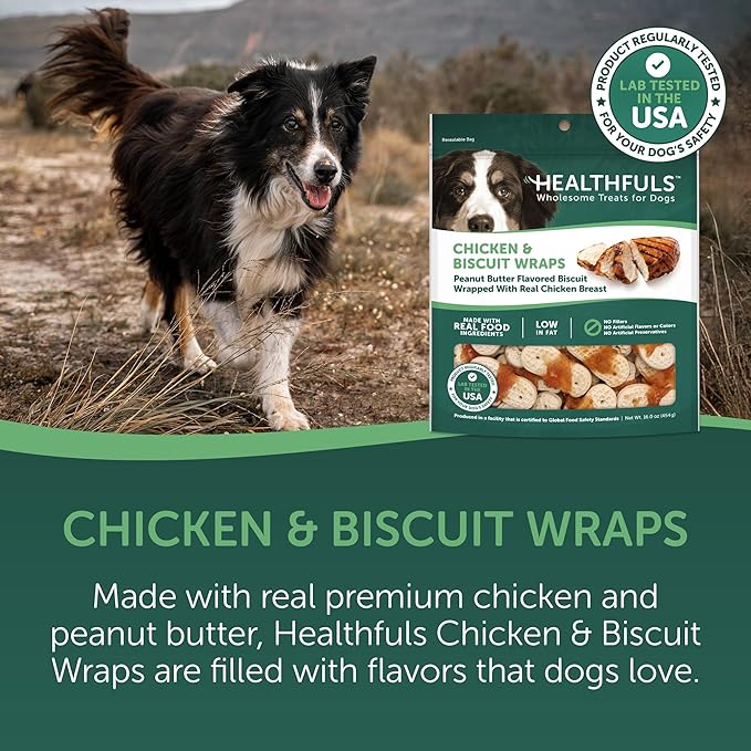 Healthfuls Chicken & Peanut Butter Flavored Dog Biscuits, 16oz
