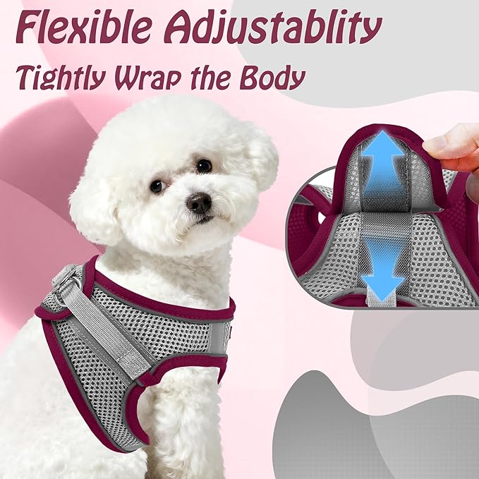 AIITLE Dog Harness, Christmas No-Pull Cat Harness with a Leash, Adjustable Reflective Puppy Vest Harness Escape Proof, Outdoor Walking, Running for Extra Small Dogs and House Cats Burgundy XXXS