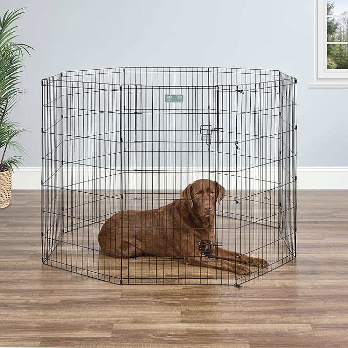 MidWest Homes for Pets 42-Inch Exercise Pen, for Indoor and Outdoor Use, 16 Sq Feet of Play, Single Door Folding Dog Pen, with Large Door Opening & Secure Latch, Easy to Set Up, Foldable Dog Playpen