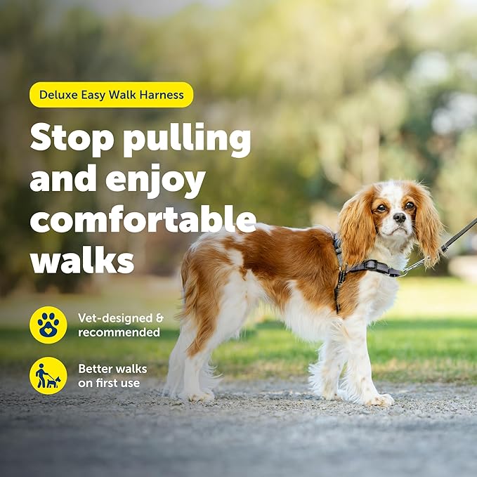 PetSafe Deluxe Easy Walk Harness - Trainer-Trusted Dog Chest Harness with Breathable Martingale Loop Design - Helps Stop Pulling with No Choking & Gagging - Small - Steel