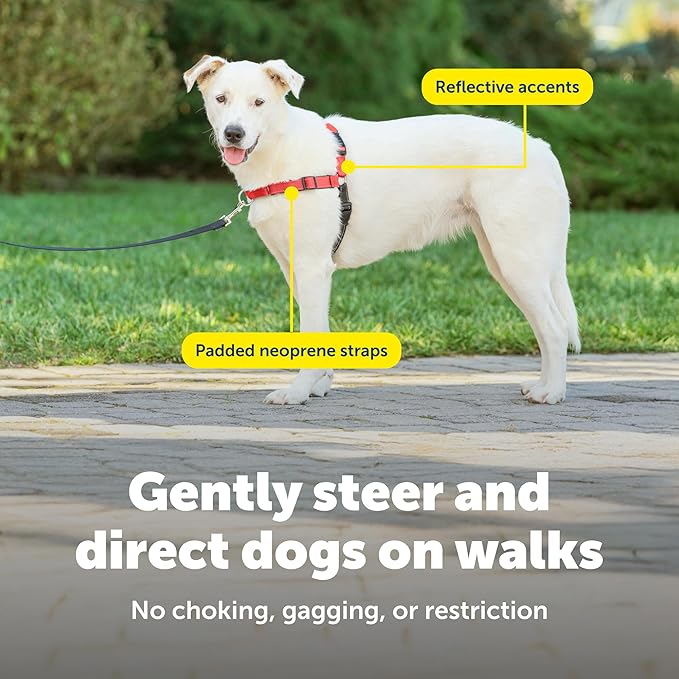 PetSafe Deluxe Easy Walk Harness - Trainer-Trusted Dog Chest Harness with Breathable Martingale Loop Design - Helps Stop Pulling with No Choking & Gagging - Medium/Large - Rose