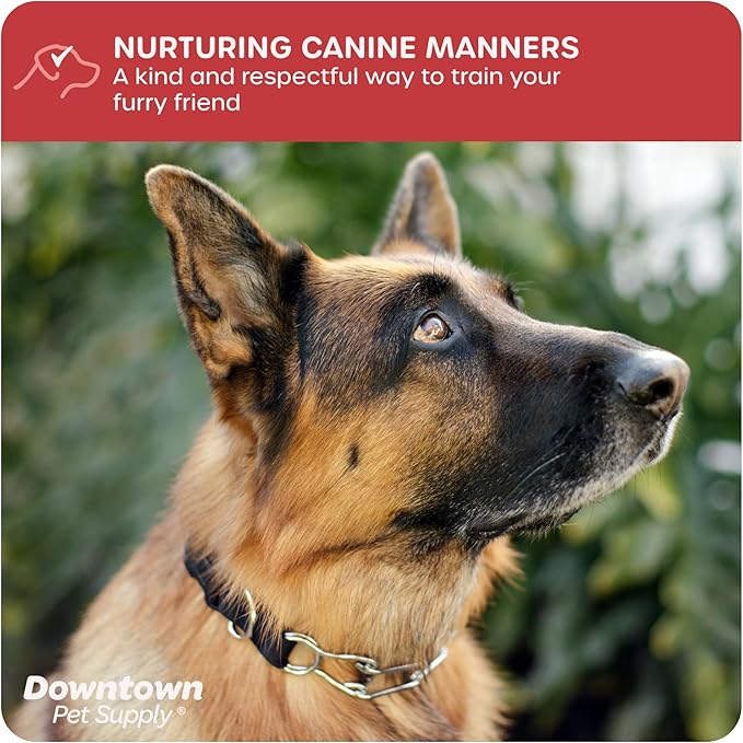 Downtown Pet Supply Chrome Plated/Nylon Prong Collar for Dogs, Small - Adjustable, No-Choke and No Pull Dog Collar with Removable Links - Pinch Collar for Dogs Under 20 lbs and 14" Neck Width
