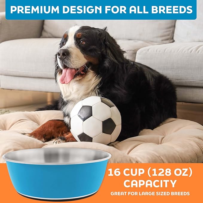Master Pet Supply Stainless Steel Dog Bowls Set of 2 (128 Oz Each) with Non-Slip Rubber Base - True Blue - Basic Dog Food Bowl Water & Food Bowls for Small Medium Large Dogs & Cats, Metal Dish
