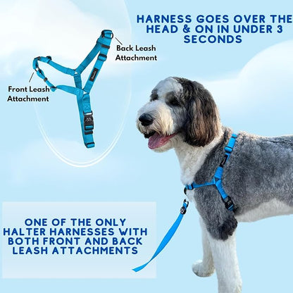 ShawnCo Dream Walk No-Pull Dog Harness- Adjustable, Comfortable, Easy to Use Pet Halter to Help Stop Pulling for Small, Medium and Large Dogs- Art Pattern Designs (White Sharks, M)
