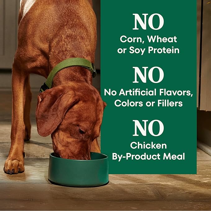 Nutro Natural Choice Dry Dog Food, Adult Dog Food Dry Chicken and Brown Rice Recipe, 30 lbs.