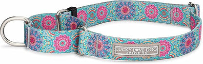 Lucky Love Dog Martingale Dog Collar - Adjustable, No-Slip, Durable, & Soft Webbing Collar for Male and Female Dogs Ideal for Training & Walking - Clara, Small