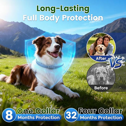 KOOSA Flea and Tick Collar for Dogs, 4 Packs Flea Collar for Dogs with Natural Essential Oils, Waterproof & Adjustable Flea and Tick Prevention Collar for Small Medium Large Dogs & Puppies, Grey