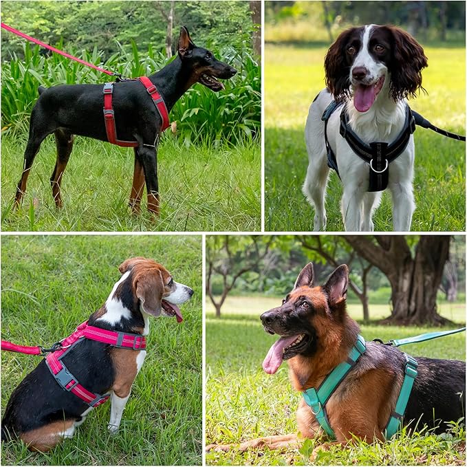 Plutus Pet No Pull Dog Harness, Adjustable Nylon Harness with Soft Padding, Reflective and Heavy Duty Dog Harness for Small, Medium, Large Dogs(Chocolate, S)