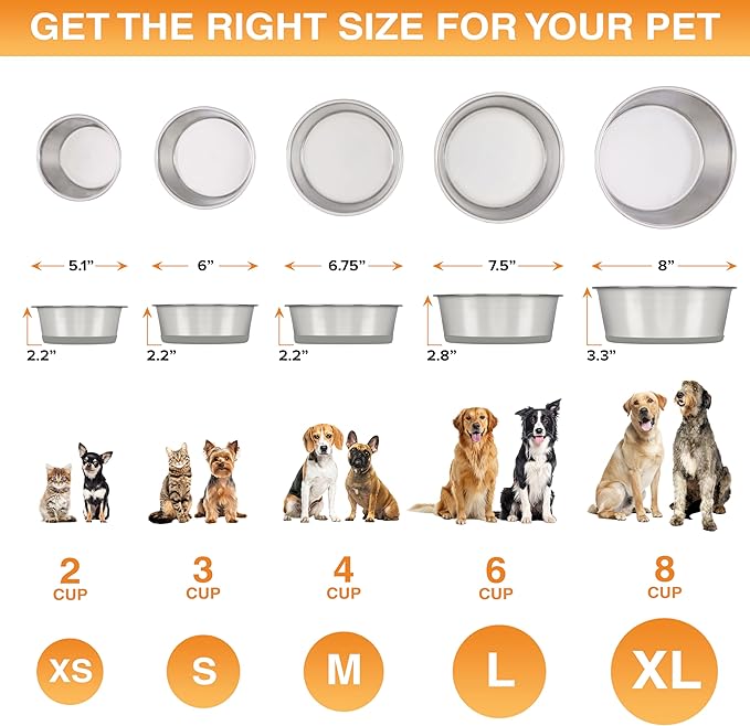 Neater Pet Brands Stainless Steel Dog Bowls with Non-Slip Rubber Bottom – Set of 2, 4 Cup (32 oz), Gray - Heavy Duty Metal Dog Bowl, Dishwasher Safe, Food or Water Bowl, Ideal for Medium Dogs