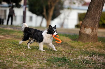 WEST PAW Zogoflex Bumi Dog Tug Toy – S-Shaped, Lightweight Chew Toys for Fetch, Play, Pet Exercise – Tug of War Soft Flinging Squishy Chewy Toy for Dogs – Guaranteed, Latex-Free, Small 8", Tangerine