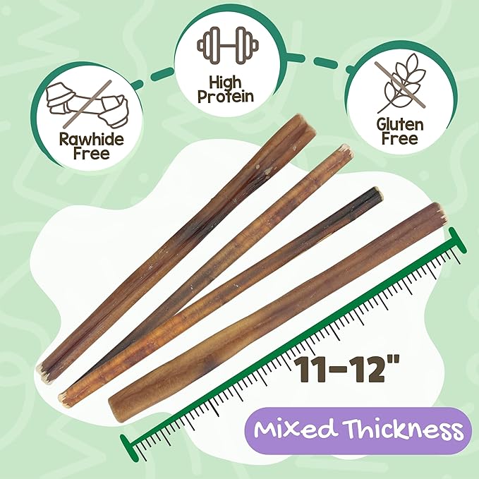 Nature Gnaws Bully Sticks for Dogs 11-12" (8oz) - Mixed Thickness - Long Lasting for Aggressive Chewers and Large Dogs - Natural Beef Dog Chew Bones