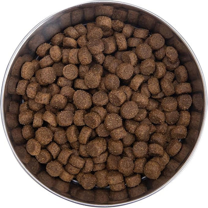 Health Extension Grain Free Chicken & Turkey Dry Dog Food - 30+ Superfoods and Probiotics for All Life Stages (1lb)