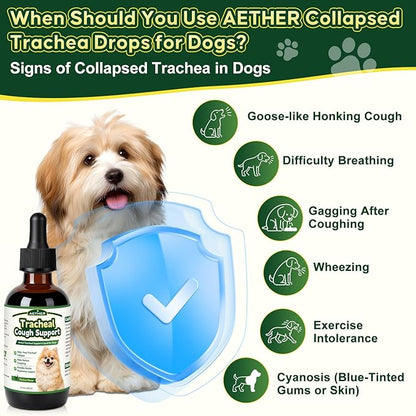 Trachea Cough Elixir, Collapsed Trachea Support for Dogs, Tracheal & Respiratory Airway Liquid, Dog Cough Relief Drops for Small Breeds, Natural Herbal Formula 2 fl oz Chicken Flavor