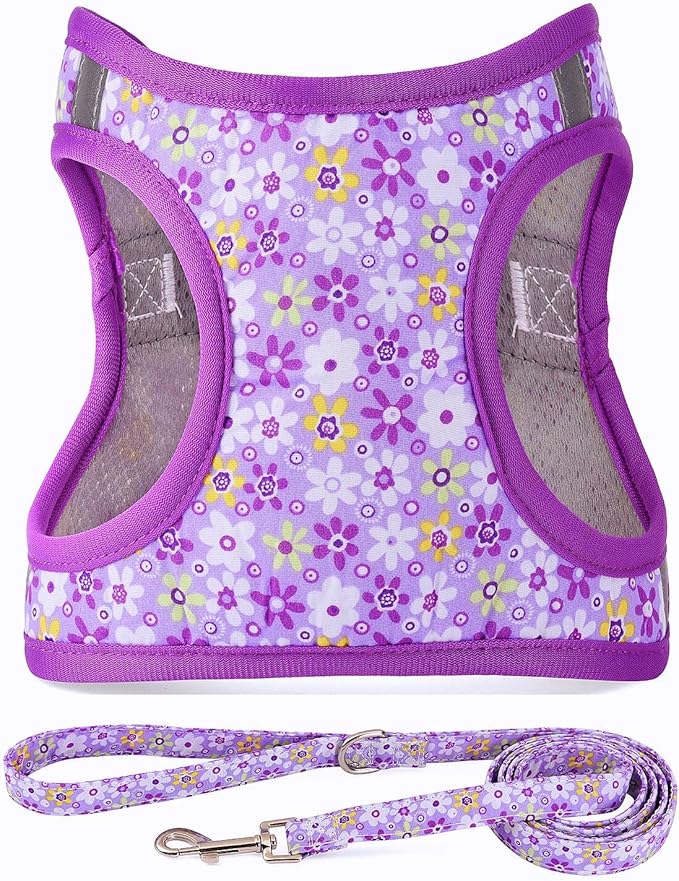 Moonpet Step in Dog Harness Leash Set- All Weather Reflective No-Pull Floral Pattern Padded Mesh Vest Harness for Cats Puppy Extra-Small Small Medium Large Dogs - Purple Flower - XS