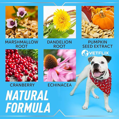 UTI and Kidney Support for Dogs, Cats, Puppies and Kittens – Natural Urinary Tract Supplement with Cranberry – Supports Bladder and Immune Health – Made in USA – 2 Fl Oz