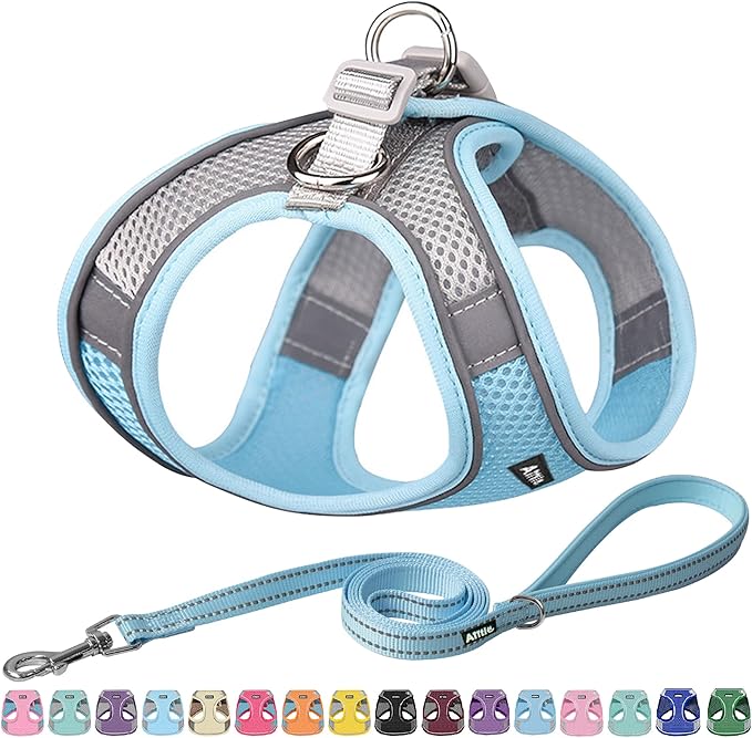 AIITLE Step in Dog Harness and Leash Set - No Pull Escape Proof Vest Harnesses with Soft Mesh and Reflective Bands, Adjustable Pet Outdoor Harnesses for Small and Medium Dogs Blue M