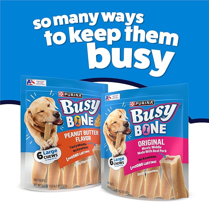 Purina Busy Bone Adult Dog Chew Bone Treats, Original - 10 ct. Pouch