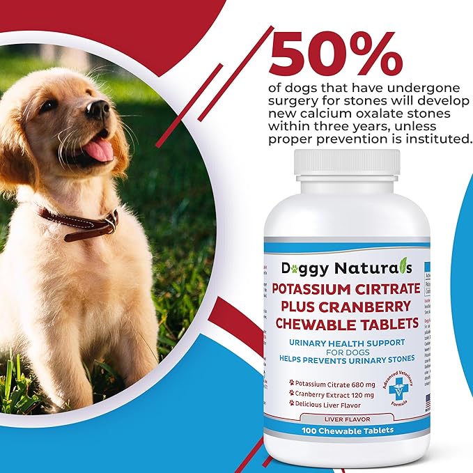 Potassium Citrate Plus Cranberry Supplement for Dogs (100 Tablets) - Urinary Tract Support-Helps Deter Formation of Calcium Oxalate Stones - Deters Bladder & Kidney Stones (Made in U.S.A)
