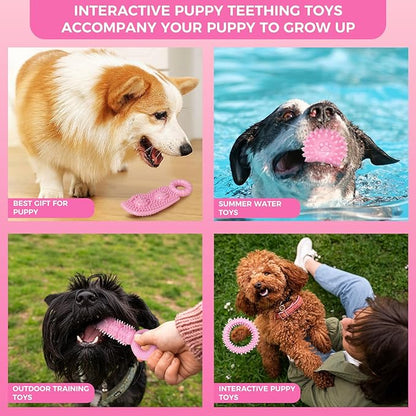 Puppy Toys, 9 Pack Puppy Chew Toys for Teething, Cute Pink Small Dog Toys, Teething Toys for Puppies, Soft Durable Interactive Dog Chew Toy for Small Dogs