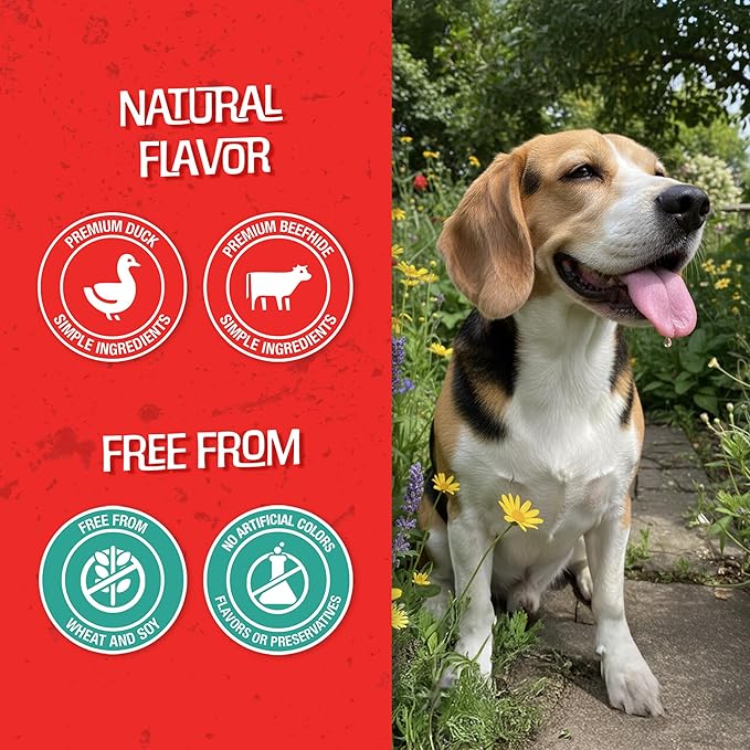Chomp’ems Premium Beefhide Chews for Dogs, 2 Chews