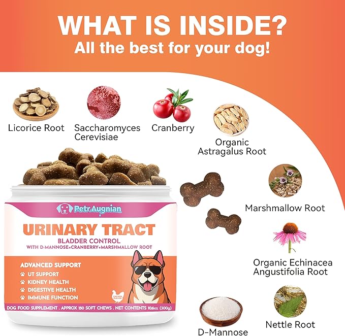 Dog Urinary Tract Supplement & Natural UTI Medicine Cranberry & D-Mannose -Kidney+Bladder Support - Best Prevention Incontinence & Bladder Stones-Cranberry Supplement - 150 Chews