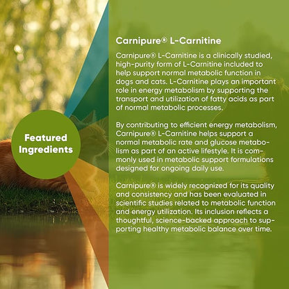 Rooted Owl Metabolism Support - L-Carnitine Supplement for Dogs and Cats to Support Healthy Weight - Dog and Cat Supplement - 60/ct