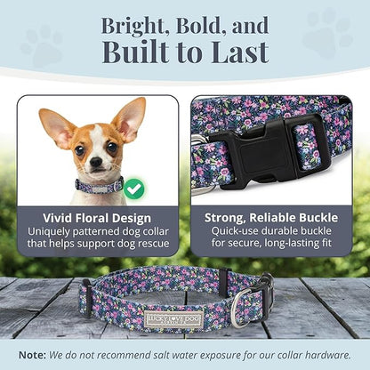 Lucky Love Dog, Comfortable, Soft, Cute Female Dog Collar for Tiny Dogs, Black & Purple Floral Print, Adjustable Nylon Collar, Primrose, X-Small