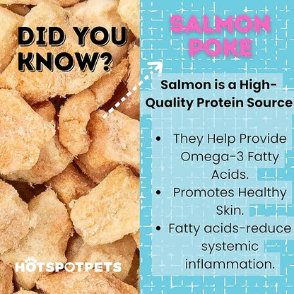 hotspot pets Freeze Dried Salmon Treats for Cats & Dogs - Made in USA - 1LB Resealable Big Bag - Single Ingredient, High Protein, All Natural Grain-Free - Perfect for Training, Topper or Snack