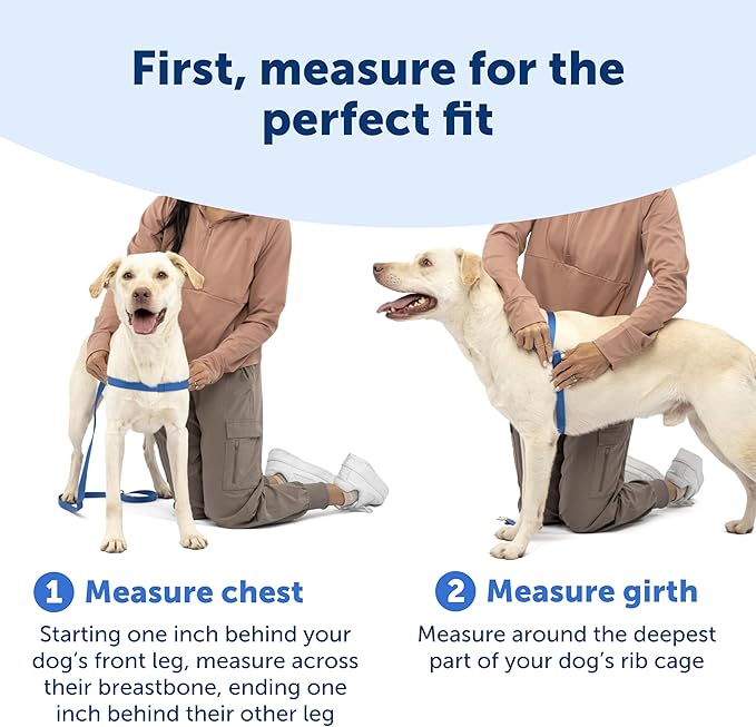 PetSafe Easy Walk Deluxe Dog Harness, No Pull Dog Harness – Perfect for Leash & Harness Training – Stops Pets from Pulling and Choking on Walks – Medium, Ocean