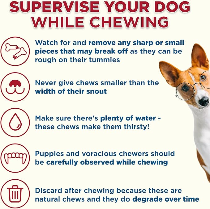 Best Bully Sticks Marrow Bones - 3 Count (Pack of 1) - USA Packed, Healthy Snack, Grass-Fed Beef, Long-Lasting, Great for Large Breeds