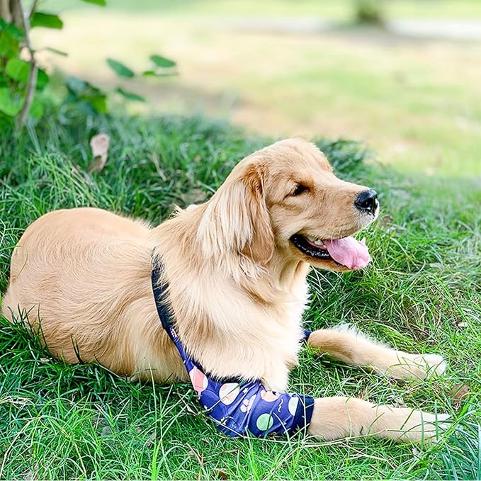 HDKUW Dog Elbow Protector, Dog Front Leg Recovery Sleeve for Prevent Licking Wound, Elbow Sleeves with Mesh Pad for Medium Large Dogs Universe 2XL